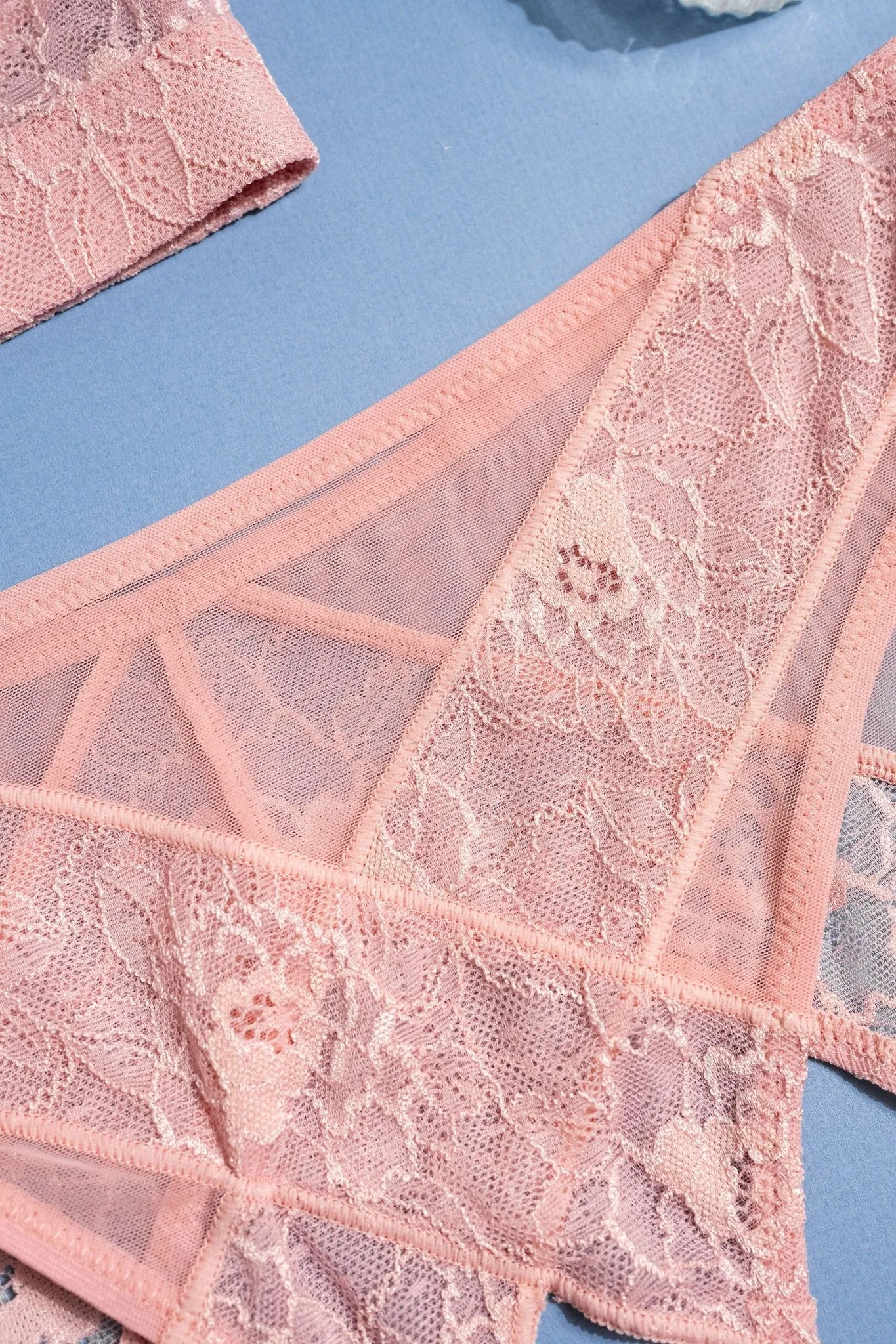 Lacy Crotchless Panty - Blush