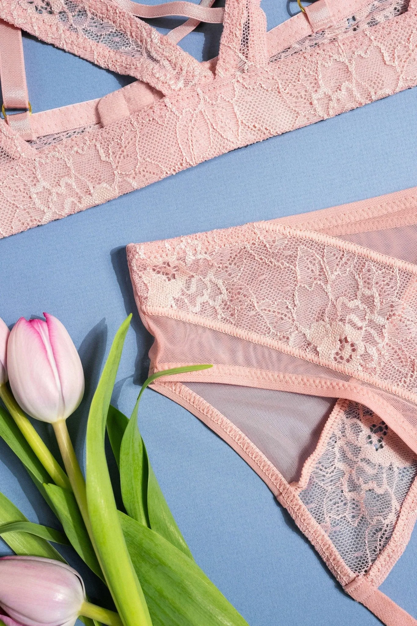 Lacy Crotchless Panty - Blush